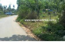 Priceless plot urgent sale at wayanad-wayanadlinks