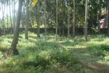 50 cents of land in ayalur nemmara