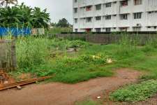 12 cents of land for sale in Kadavanthra