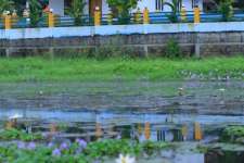 water front villa near cochin airport