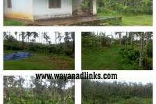 Small and Big Size plots for Sale at wayanad wayanadlinks