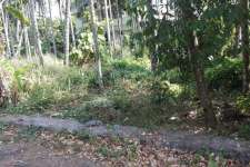 8.5 cent land at ollur (thrissur)