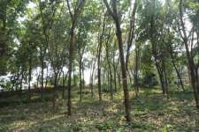 one acre plot, two sides road, main road, ernakulam district mulanthuruthy arakkunnam