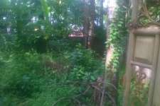 4cent Land & Plots in vellaeikdavu