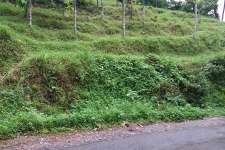 90 cents of land in MANKULAM, IDUKKI