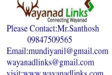 Give wings to your investments in wayanad-wayanadlinks