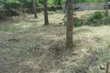 HOUSE PLOT IN MANNUTHY FOR SALE