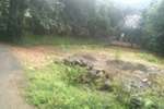 1.5 acres of land  in koothattukulam is for sale