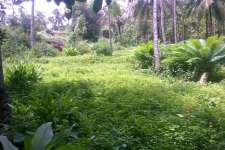 10 cent of land in manjeri, mallapuram