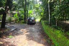 20cent house plot at vydyasalapadi perumbavoor