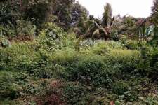 VC860 , 15 cent land for sale in Mulanthuruthy - Karickod