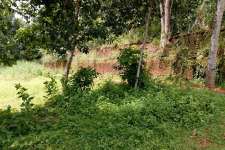 vc861 , 10 cent land for sale in Mulanthuruthy , Ernakulam .