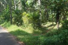 3 ACRE RESIDENTIAL LAND FOR SALE AT KAIPARAMPU