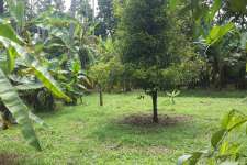 RESIDENTIAL LAND FOR SALE IN KOORKANCHERY