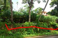 75 cents of Prime land in Kodungoor - Pala road ( 1.5 lak per cent)