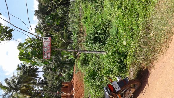 10cent mattannur-irrity road chavassery kannur House plot