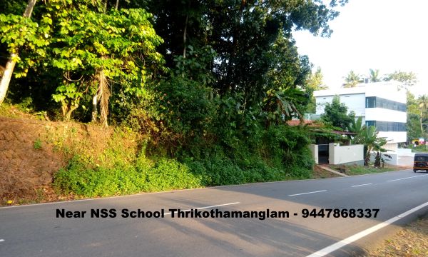 12  Cent Land For Sale in puthupally Kottayam