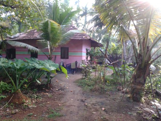 7cent with house in Karunagappally