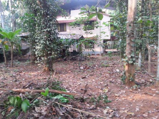 78 cents of land in Cherukole, Kozhencherry