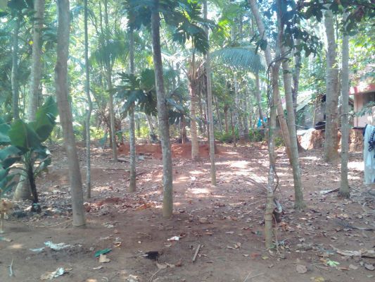 10 Cent Residential Plot for sale at Kanjiramkulam