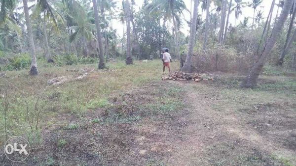 1 acre 20 cent for sale in Thrissur