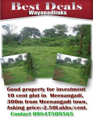 Good property for investment in Wayanadlinks