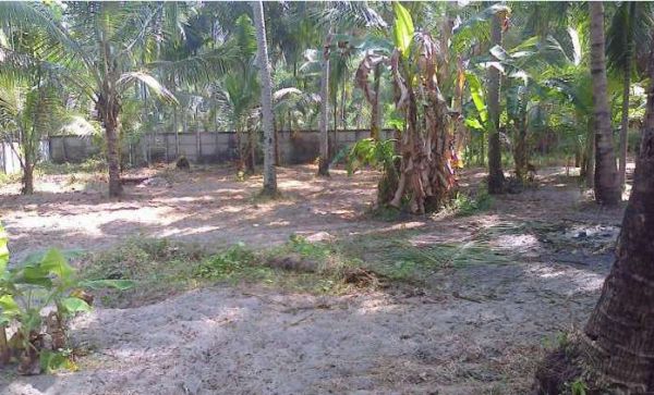 25cent Residential land for sale in Munnamkutty,Kayamkulam,Alappuzha district