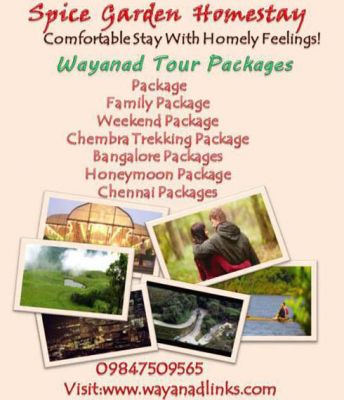 Spice Garden Homestay Comfortable Stay With Homely Feeling