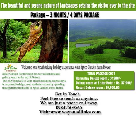 Spice garden is an ideal homestay situated at central part of Wayanad