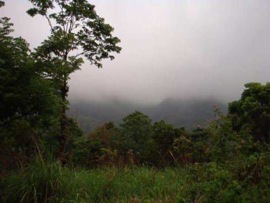 75 cent Land Munnar - Rajakkad