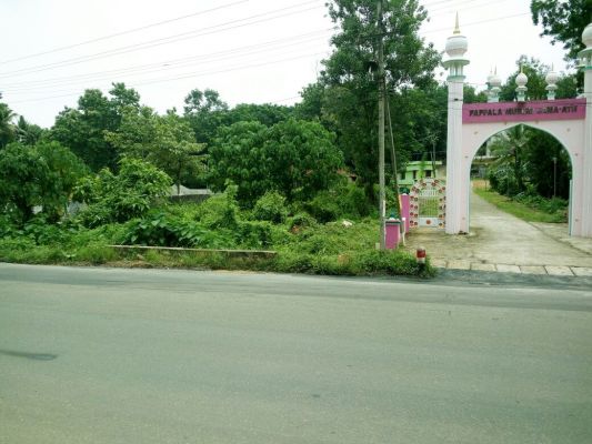 Five cents In Kilimanoor ,Thiruvananthapuram  By the side of MC Road