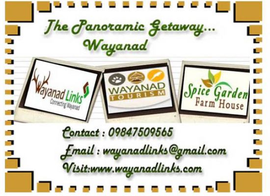 Spice Garden Homestay-Best Farm Stay in Wayanad