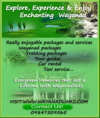 Explore,Experience & Enjoy   Enchanting Wayanad