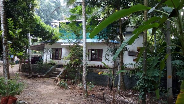 50Cent Land with 1100Sqft House in Karoor, Pala