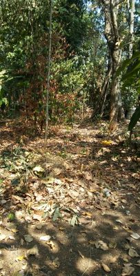 9 cent Plot in Keralapuram near NH.. 375000per cent