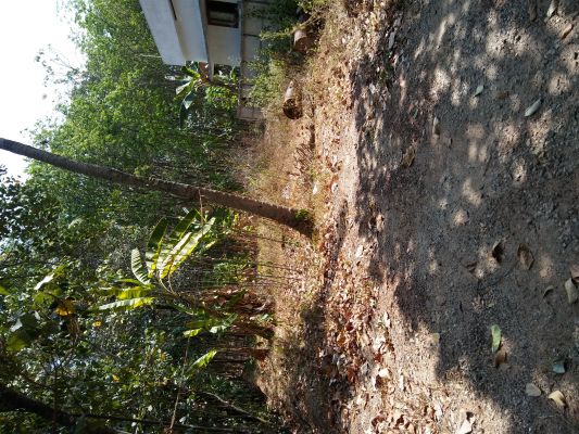 4 Cent land in Mukhathala,near St.Jude school, 165000 per cent