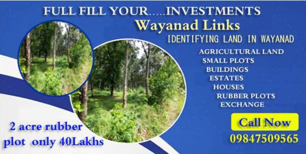 FULL FILL YOUR INVESTMENTS...WAYANADLINKS