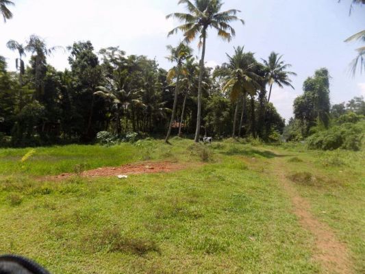 73 cents of land in Ithipuzha,Vaikom