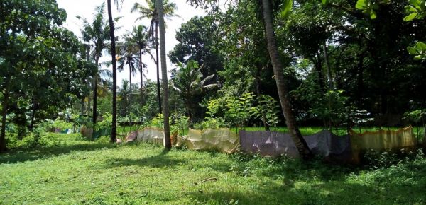 75 cent land for sale in Trichur district.