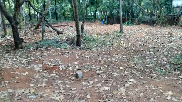 10 cents of land near National Highway Ezhilode,Payyannur Kannur District.