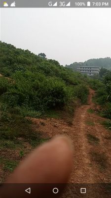 25 cents of land @ 2 lakh per cent near saint shantal CBSE school, near malamukal, manalayam