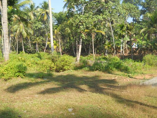 10 cents of residential land at near Arayankavu