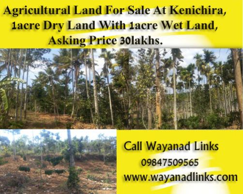 2acre Land For Sale At Kenichira Wayanad Wayanadli