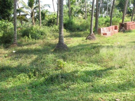 21 cent plot sale urgently in behind pazhookara church