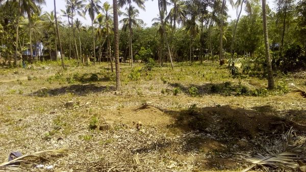 1acre of land in kottappuram,kadakkal