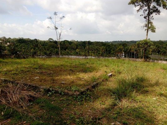 29 cents of land in Mulanthuruthy