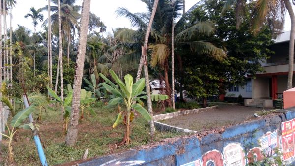 20, 40 cents of land in Mulanthuruthy for sale