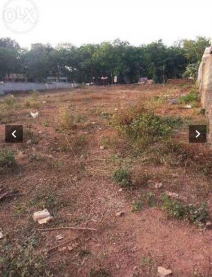 18.5 cent open land for sale pukkattupady ernakulam ..