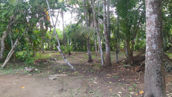 10 cents land for sale in Vaikom