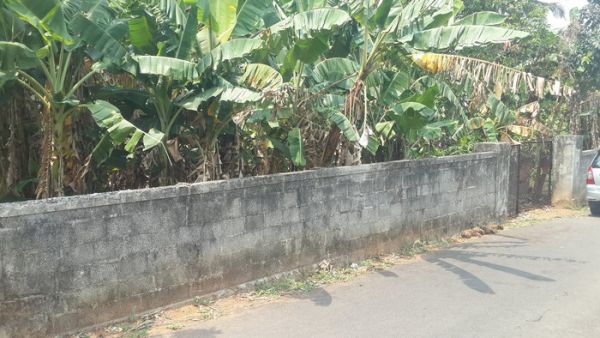 19 cent residential land for sale in aranattukara